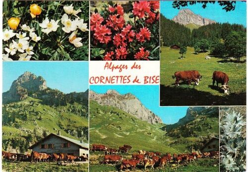 Carte Postale, France, Rhone Alpes, Haute Savoie, Paysages Du Chablais, Les Cornettes De Bise - Oblitération Du 10/08/1981