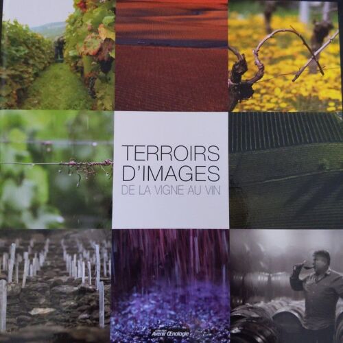 Terroirs D'image De La Vigne Au Vin