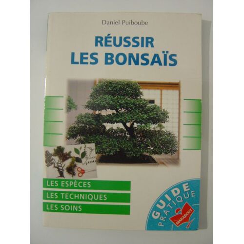 Réussir Les Bonsaïs