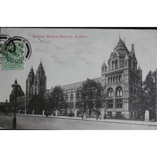 Carte Postale Affranchie :  1908, Londres, Natural History Museum