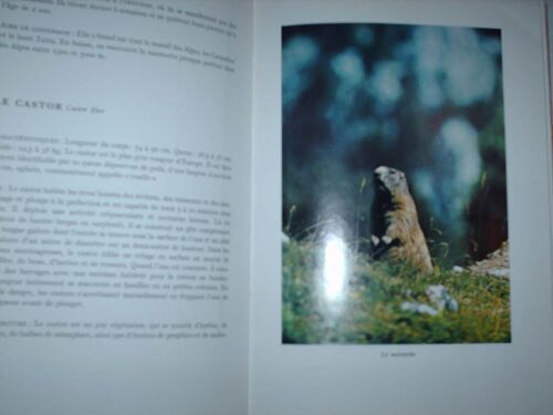 Le Monde Animal En Suisse : Mammifères, Reptiles, Batraciens, Avec 48 Photographies En Couleur