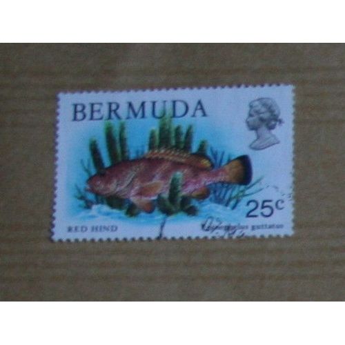 Timbre : Bermudes