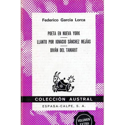 Poeta En Nueva York