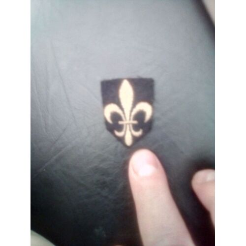 Écusson Scouts Petite Taille A Coller
