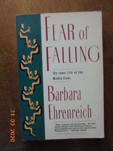 Fear Of Falling: The Inner Life Of The Middle Class