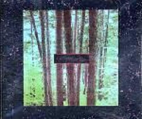 Forest Of Doves + 3 Titres