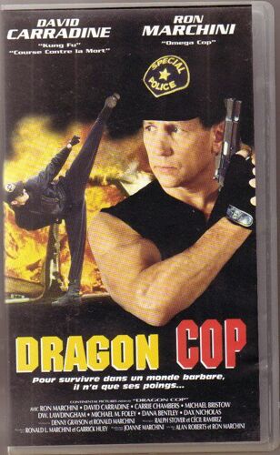 Dragon Cop