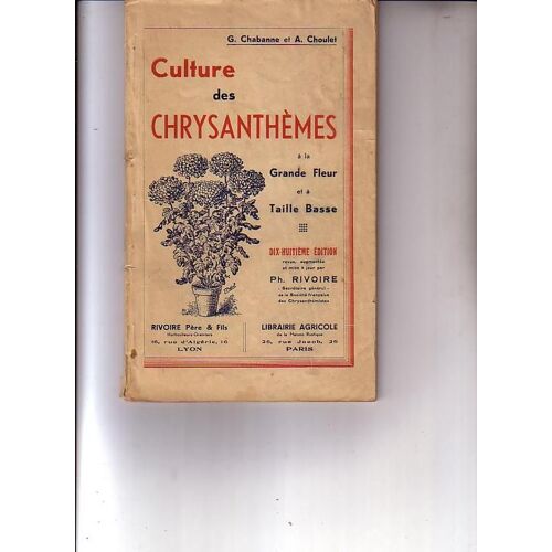 Culture Des Chrysanthemes A La Grance Fleur Et A Taille Basse