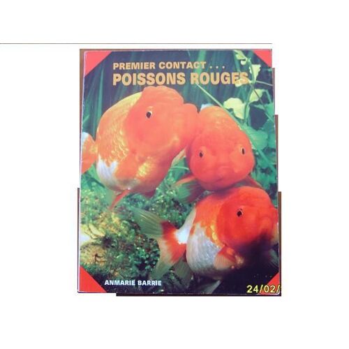 Goldfish As A New Pet
