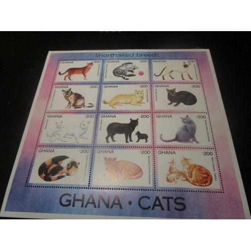 Planche Chats - Ghana