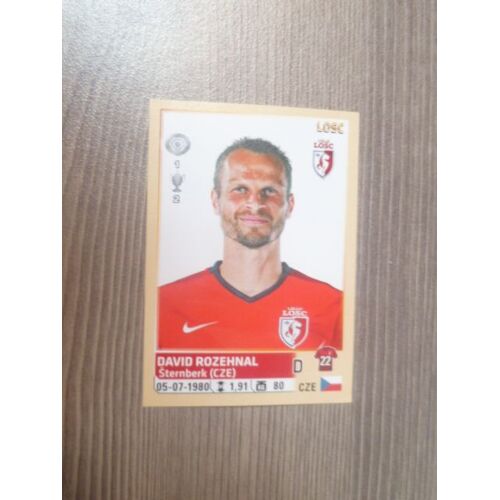Image N°153 Panini Foot 2014-15 -David Rozehnal- Lille -