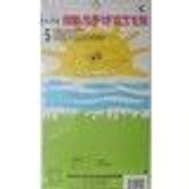 ASPIFILTER 2802 pour aspirateur SINGER