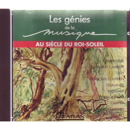 Au Siecle Du Roi Soleil