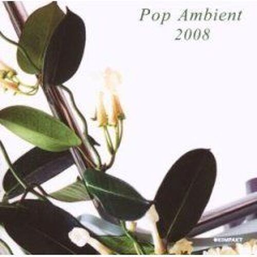 Pop Ambient 2008