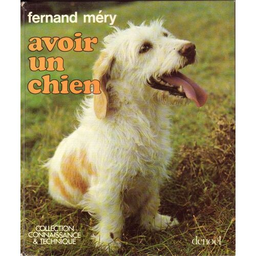 Avoir Un Chien