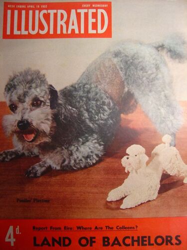 Illustrated  N° 4 : Land Of Bachelors