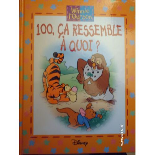 Winnie L'ourson, 100, Ça Ressemble À Quoi?