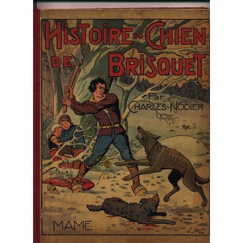 Histoire Du Chien De Brisquet