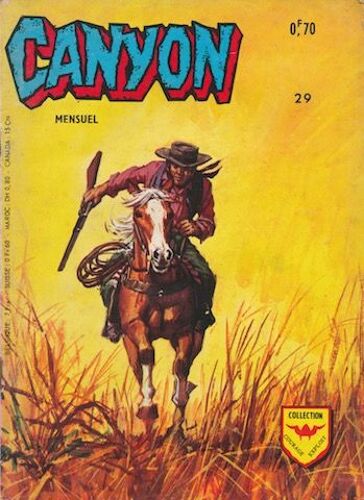 Canyon 29 Bd Petit Format