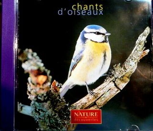 Chants D'oiseaux