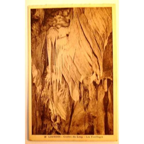 Carte Postale Ancienne  Lourdes  Hautes Pyrenees Grotte Du Loup Les Feuillages