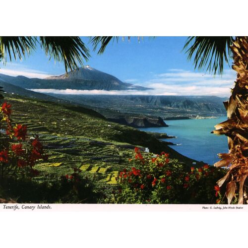 Tenerife - Canary Islands