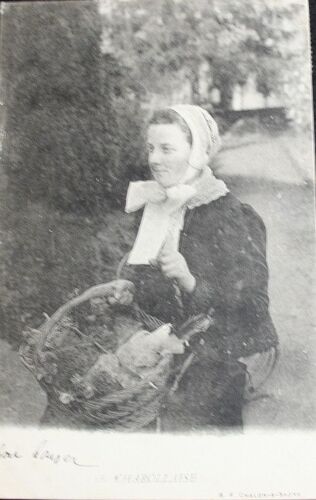 Carte Postale Affanchie, 1904, Charollaise