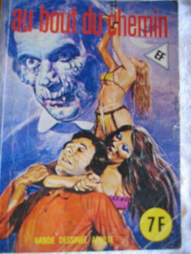 Serie Jaune Hors Serie Ef Bande Dessinee Adulte  N° 12 : Au Bout Du Chemin