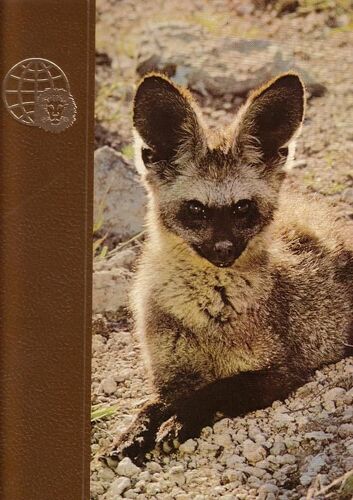 Le Royaume Des Animaux Tome 17 : Nèpe-Ours À Lunettes