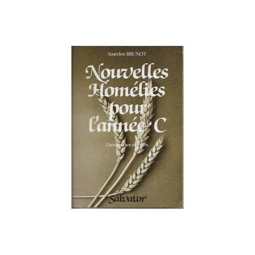 Nouvelles Homélies Pour L'année C - Dimanches En Fêtes.