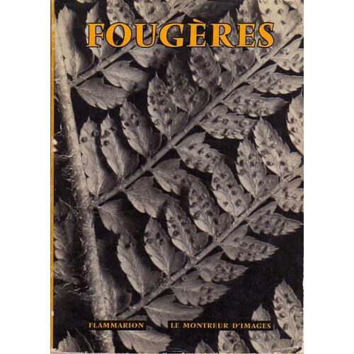 Fougeres
