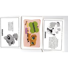 Carte: Surprise Monopoly Petshop