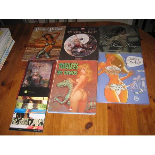 Lot 7 Art Book Bd Livres D'illustrations Pin Up