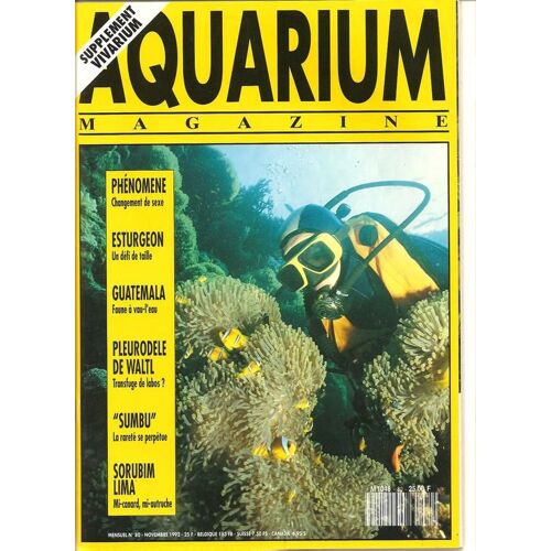 Aquarium Magazine N° 80 : Pleurodele De Waltl ,"Sumbu",Sorubim Lima