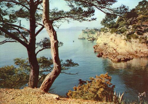 Toulon   Var   Cap Brun