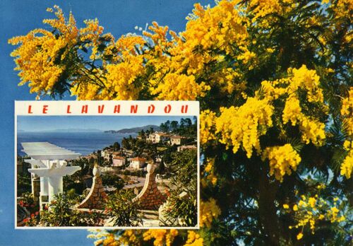 Le Lavandou  - Var  -