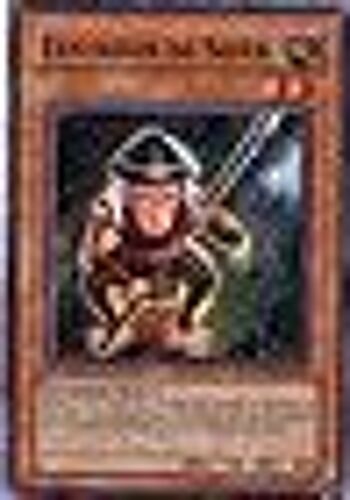 Yu-Gi-Oh! Attaque De Neos Fantassin De Shien