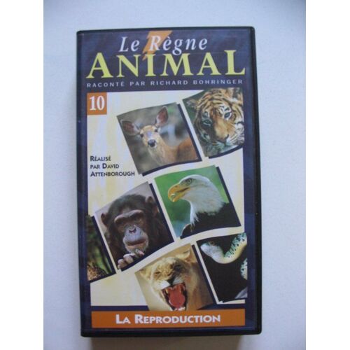 Le Règne Animal N° 10 : La Reproduction