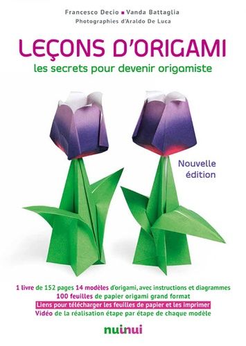 Leçons D'origami - Les Secrets Pour Devenir Origamiste