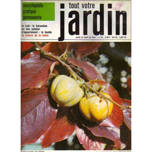 Tout Votre Jardin  N° 64 : Le Kaki  Le Kalanchoe Un Bon Palmier D'appartement Le Kentia La Culture De La Laitue