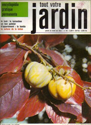Tout Votre Jardin  N° 64 : Le Kaki  Le Kalanchoe Un Bon Palmier D'appartement Le Kentia La Culture De La Laitue