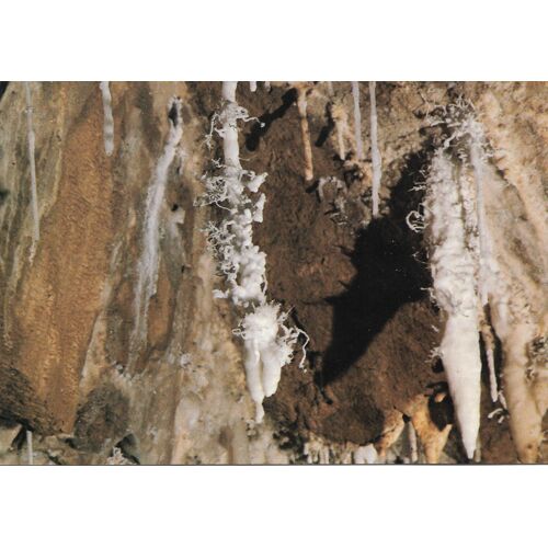 Grottes Grandes Canalettes