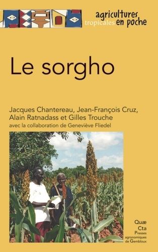 Le Sorgho