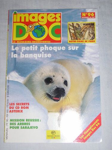 Image Doc N° 96 : Le Petit Phoque Sur La Banquise