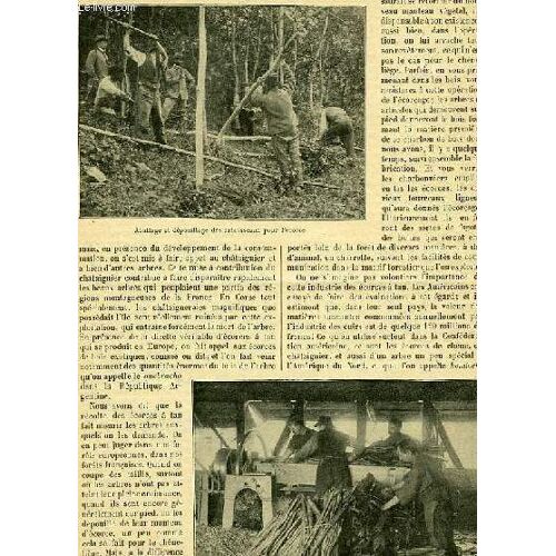 Le Journal De La Jeunesse, Tome 82 - Livraison 2138