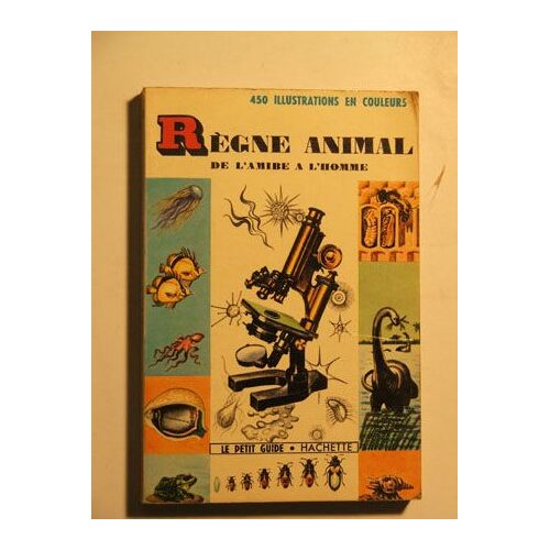 Règne Animal De L Amibe À L Homme