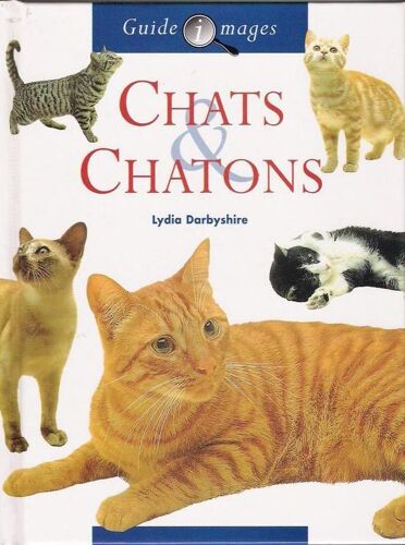 Chat Et Chatons