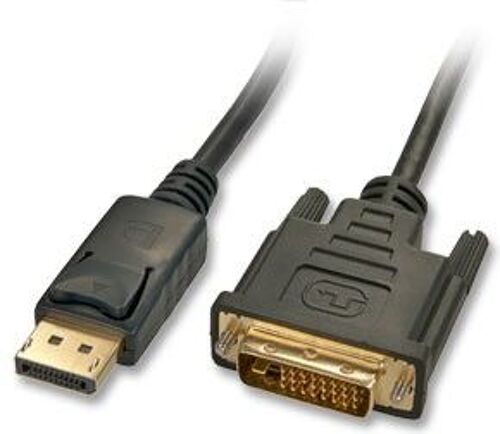 LINDY Câble DisplayPort vers DVI 5m