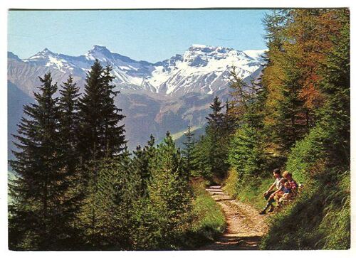 Carte Postale - Le Hörnliweg Près D' Adelboden - Suisse