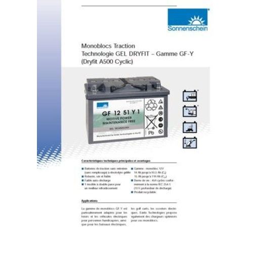 Sonnenschein Batterie Pour Chariot De Golf  12 Volts 15 Ah/C20 Gf12014yf - A512c15.0g5